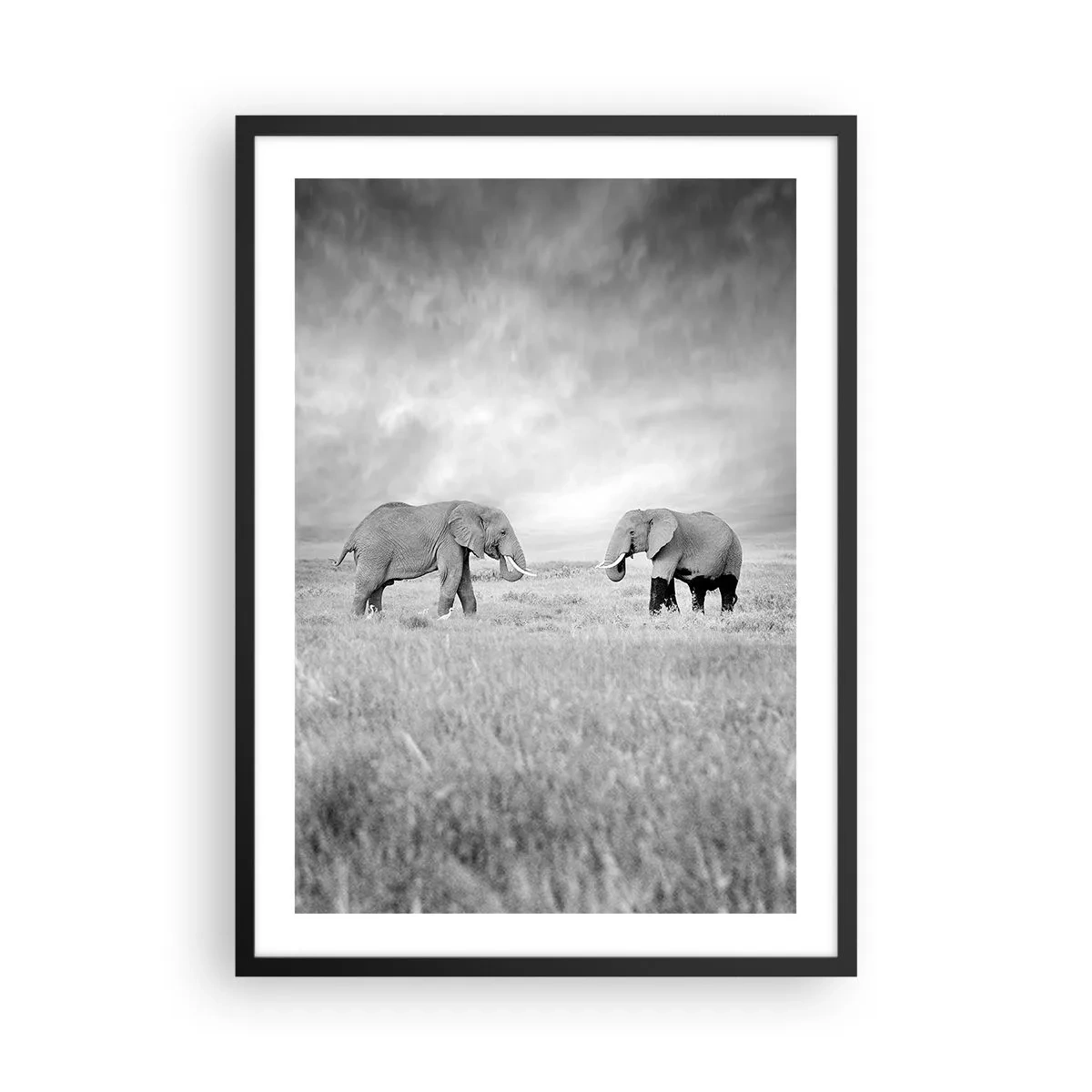 Affiche dans un cadre noir - Poster - Éléphants noirs et blancs dans la savane - 50x70cm - Le gris est beau - Décoration murale moderne pour le salon et la chambre ARTTOR