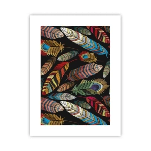 Affiche - Poster - Le carnaval des oiseaux - 30x40 cm