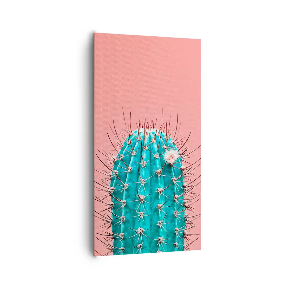 Impression sur toile - Image sur toile - Juste regarde - 65x120 cm