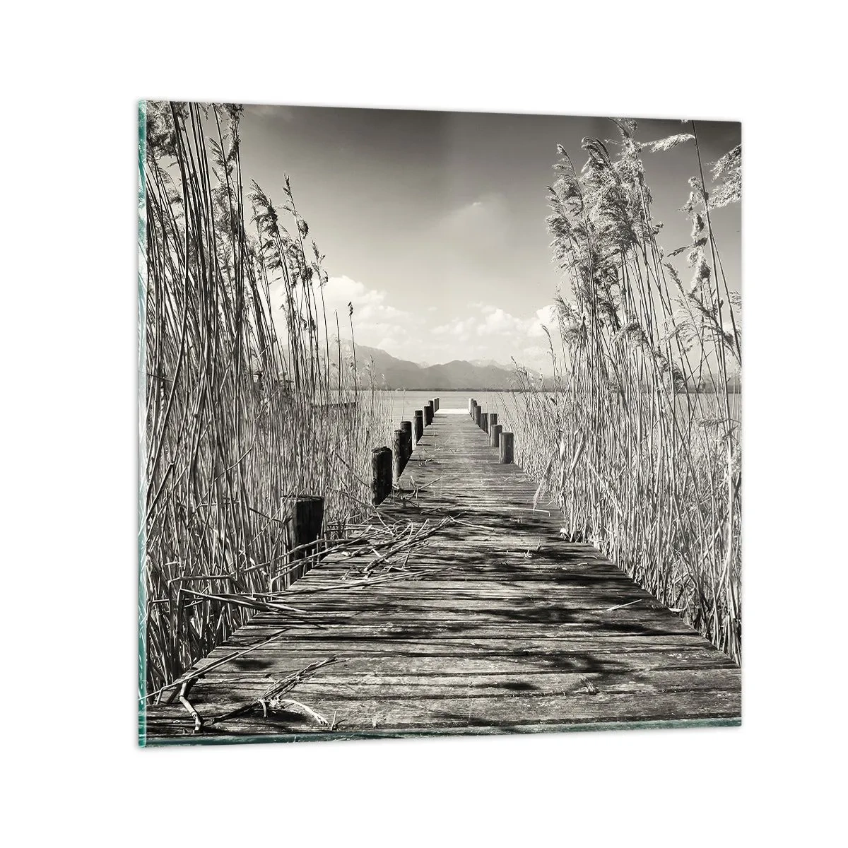 Impression sur verre - Image sur verre - Dans le calme de l'herbe - 30x30 cm