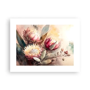 Affiche - Poster - De profil et de face - 40x30 cm