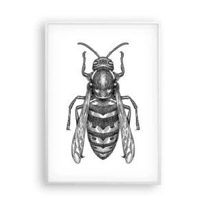 Affiche dans un cadre blanc - Poster - D'une planète d'insectes - 70x100 cm