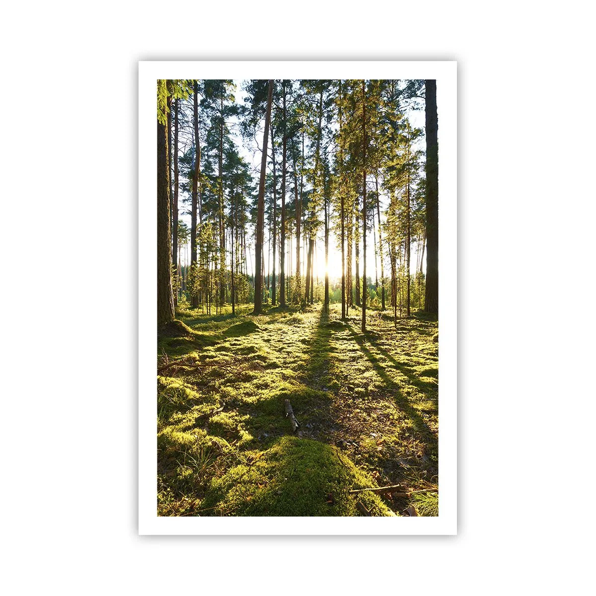 Affiche - Poster - … Derrière les sept forêts - 61x91 cm