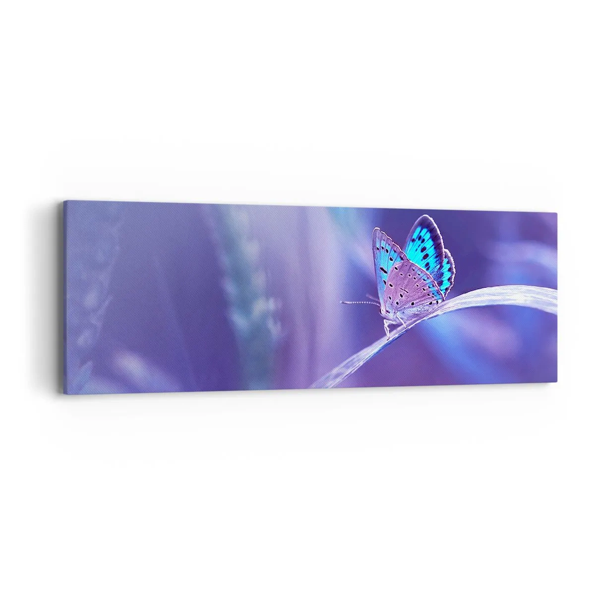 Impression sur toile - Image sur toile - Un joyau de la nature - 90x30 cm