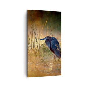 Impression sur toile - Image sur toile - Allez, laissez-moi en paix avec ces photos - 45x80 cm