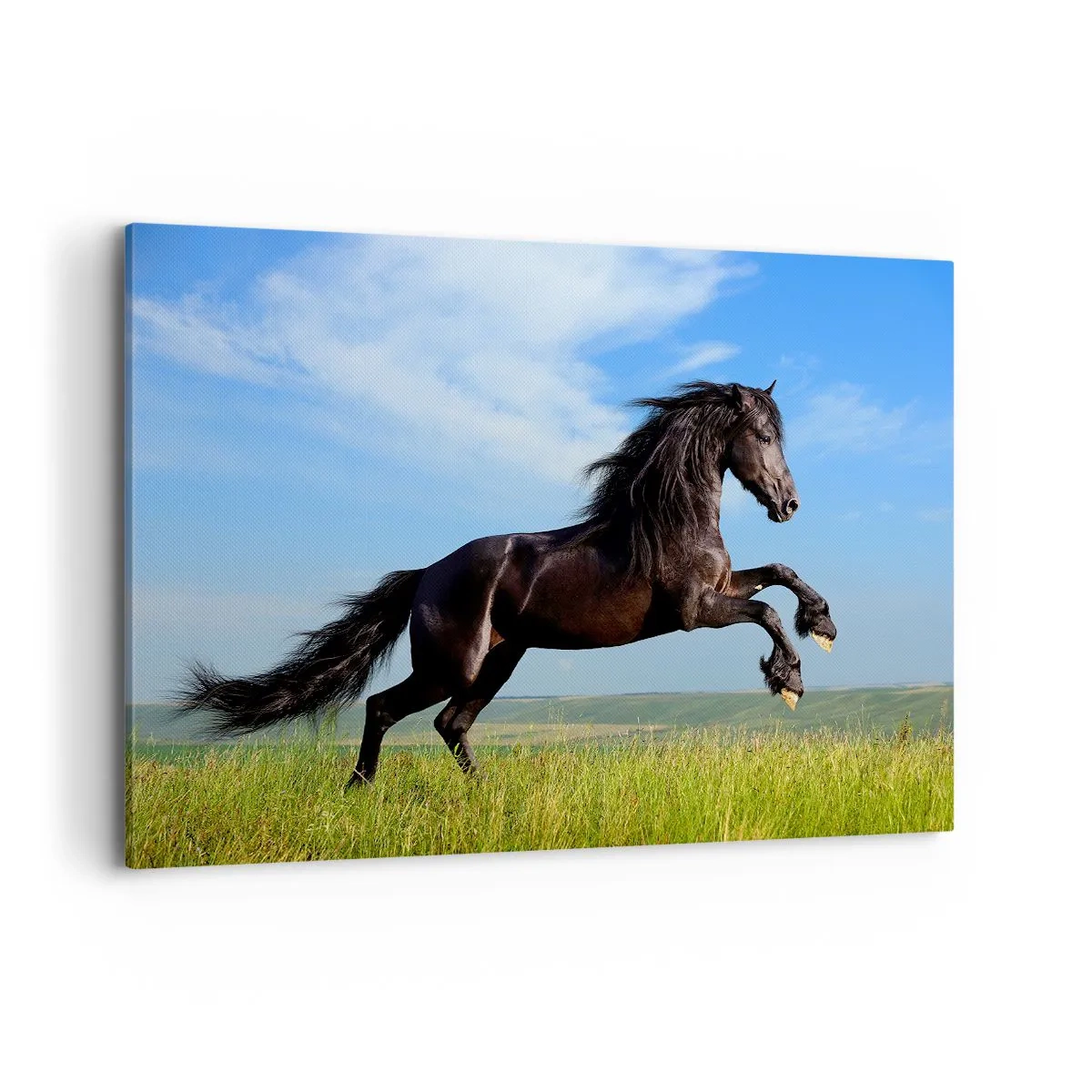 Impression sur toile - Image sur toile - Un cheval noir courant contre un ciel bleu et une prairie verte - 120x80cm - Un manifeste de liberté passionnant - Décoration murale moderne pour le salon et la chambre ARTTOR