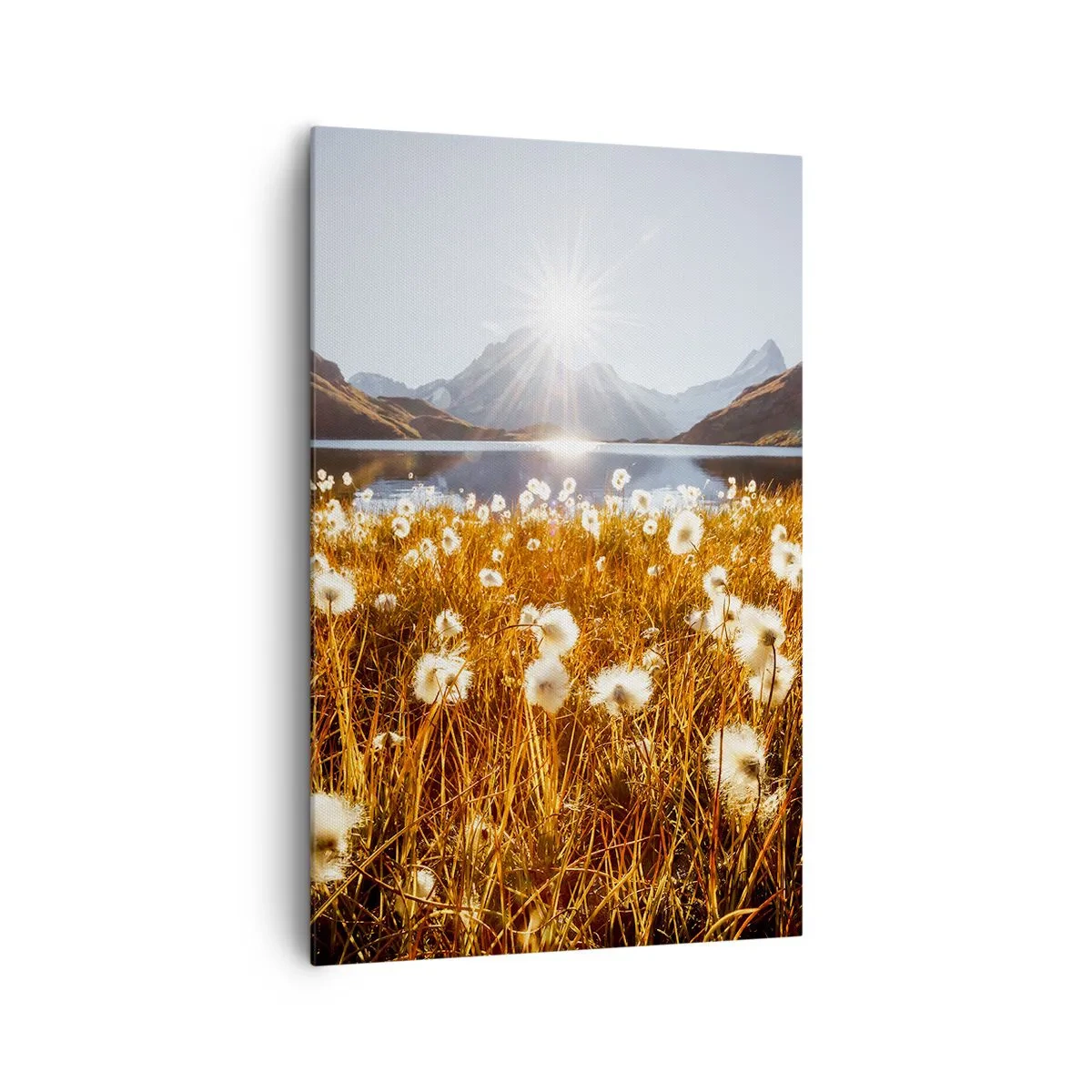 Impression sur toile - Image sur toile - Dureté de la roche, douceur de l'herbe - 80x120 cm