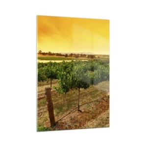 Impression sur verre - Image sur verre - Vignes dans la chaude lumière du soleil couchant - 50x70cm - S'abreuver du soleil - Décoration murale moderne pour le salon et la chambre ARTTOR