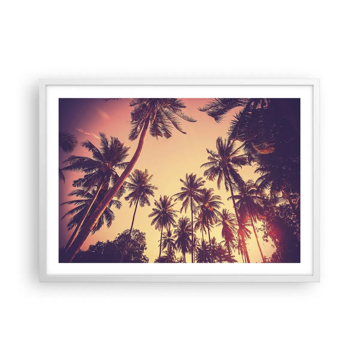 Affiche dans un cadre blanc - Poster - Variation tropicale - 70x50 cm