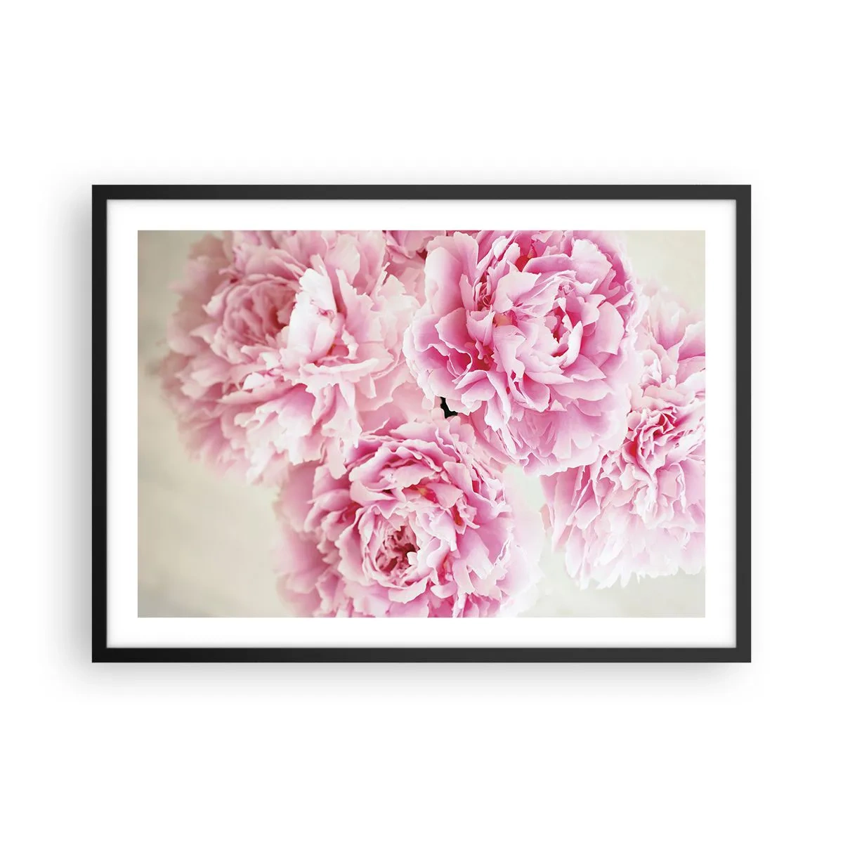 Affiche dans un cadre noir - Poster - Un bouquet de pivoines roses sur fond clair - 70x50cm - En glamour rose - Décoration murale moderne pour le salon et la chambre ARTTOR