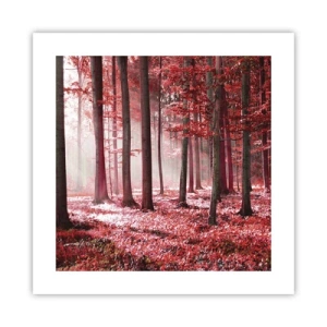 Affiche - Poster - Le rouge est tout aussi beau - 40x40 cm