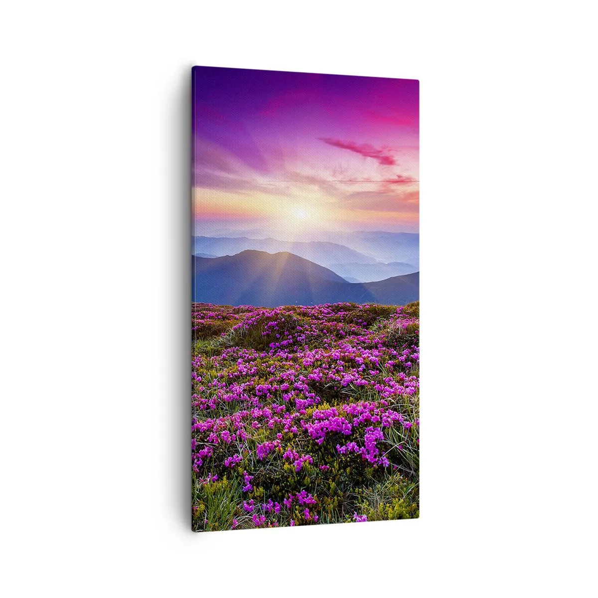 Impression sur toile - Image sur toile - Les herbes sentaient les grappes fraîches de la récolte - 55x100 cm