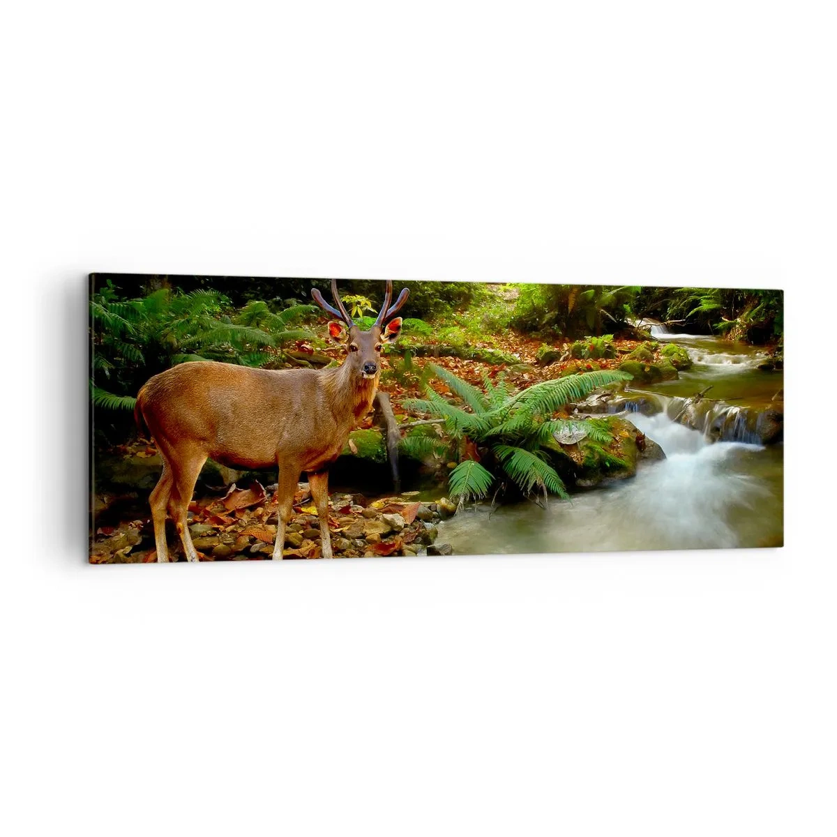 Impression sur toile - Image sur toile - Un cerf près d'un ruisseau entouré de verdure dans la forêt - 140x50cm - Bienvenue dans mon monde - Décoration murale moderne pour le salon et la chambre ARTTOR