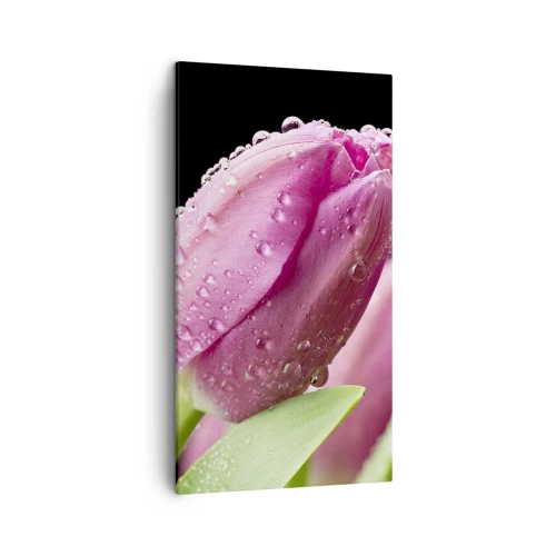 Impression sur toile - Image sur toile - Rêve de lilas dans la rosée - 45x80 cm