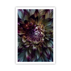 Affiche - Poster - L'apogée de la jeunesse - 70x100 cm