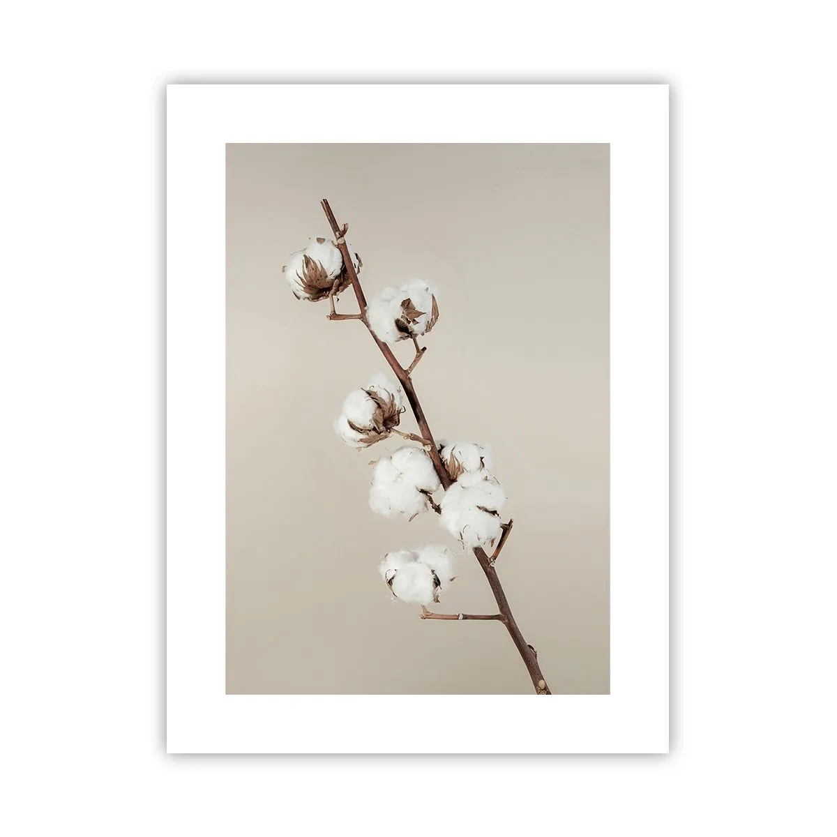 Affiche - Poster - A la source de la douceur - 30x40 cm