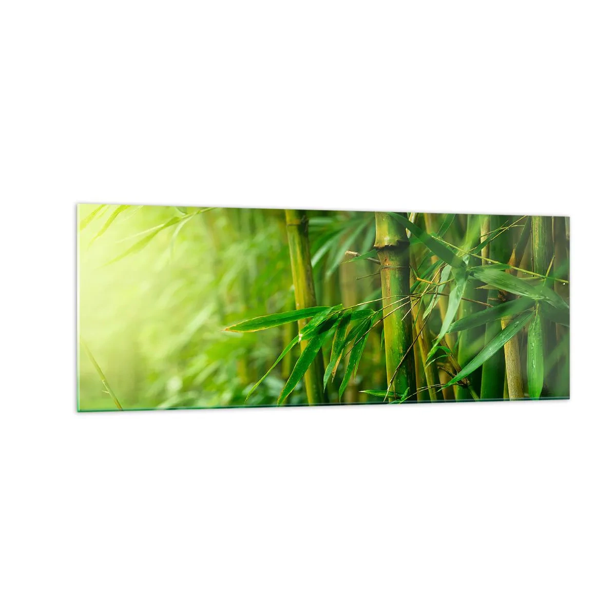 Impression sur verre - Image sur verre - Forêt de bambous verts dans une lumière douce - 140x50cm - Apprenez à connaître le vert lui-même - Décoration murale moderne pour le salon et la chambre ARTTOR