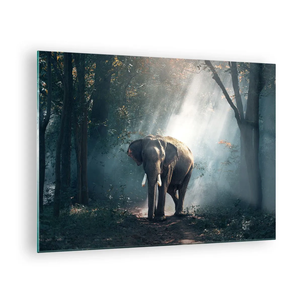 Impression sur verre - Image sur verre - Un éléphant marchant dans la forêt avec la lumière du soleil traversant les arbres. - 70x50cm - Une balade tranquille - Décoration murale moderne pour le salon et la chambre ARTTOR