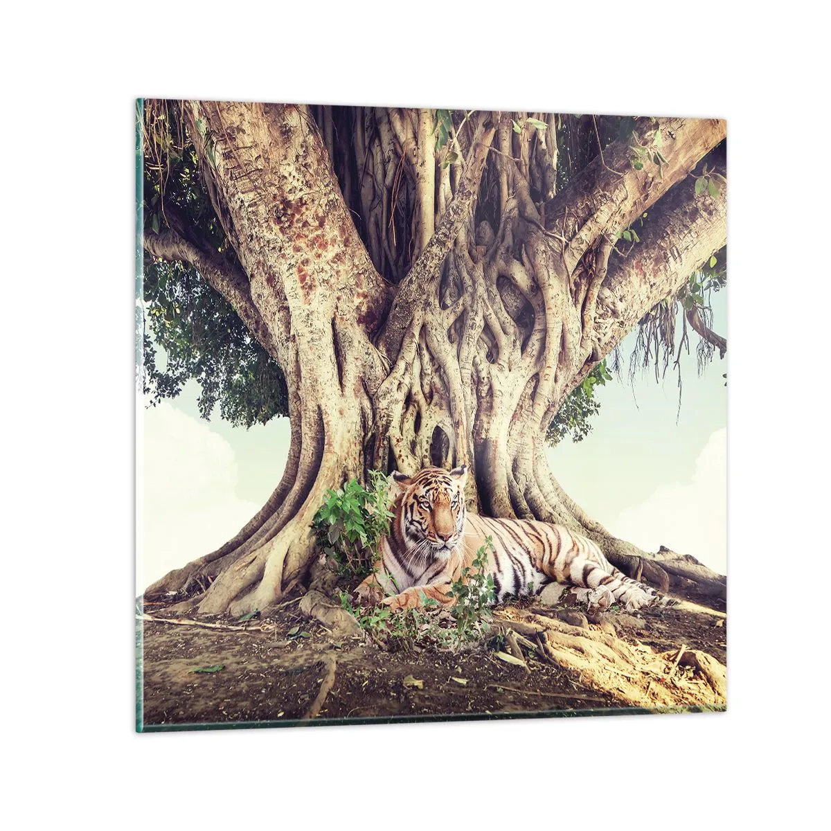 Impression sur verre - Image sur verre - Vue du Livre de la Genèse - 50x50 cm