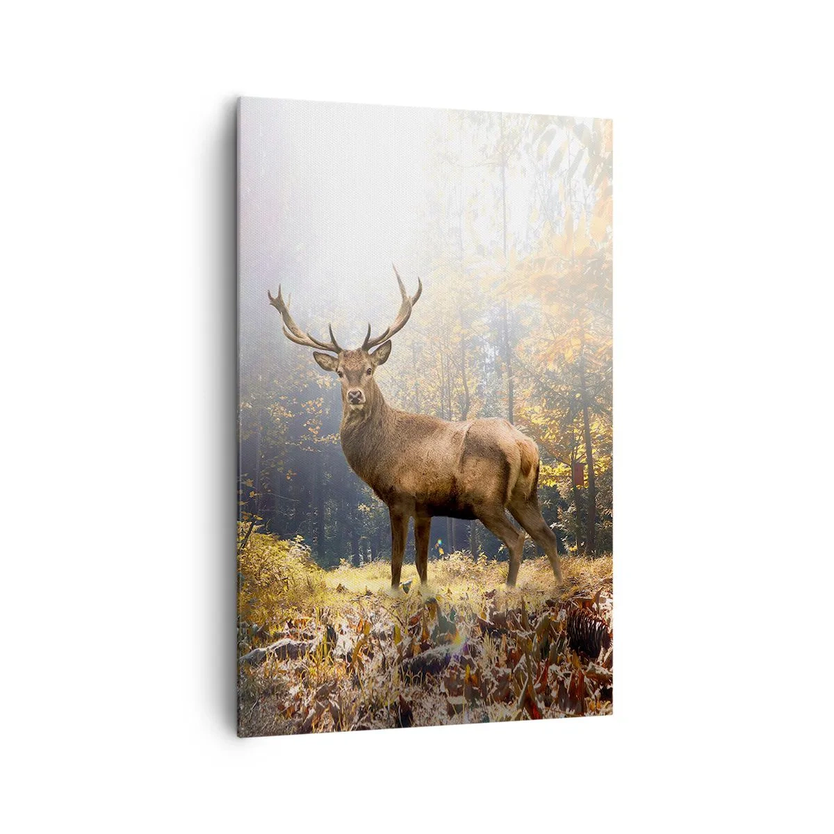Impression sur toile - Image sur toile - Cerf dans la forêt d'automne avec les rayons du soleil - 80x120cm - Toute sa majesté - Décoration murale moderne pour le salon et la chambre ARTTOR