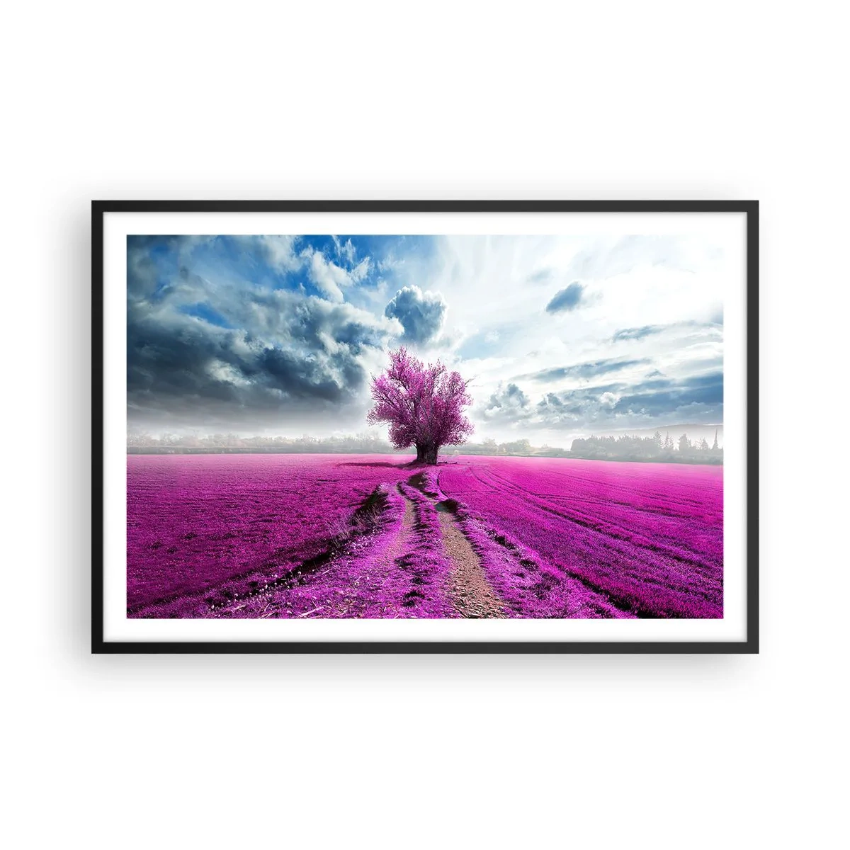 Affiche dans un cadre noir - Poster - Lande - nature sauvage - 91x61 cm
