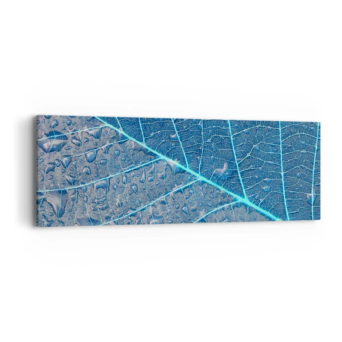Impression sur toile - Image sur toile - La vie en bleu - 90x30 cm