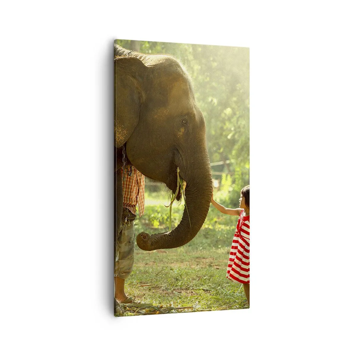 Impression sur toile - Image sur toile - La force de l'amitié - 55x100 cm