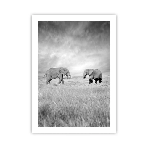 Affiche - Poster - Éléphants noirs et blancs dans la savane - 50x70cm - Le gris est beau - Décoration murale moderne pour le salon et la chambre ARTTOR