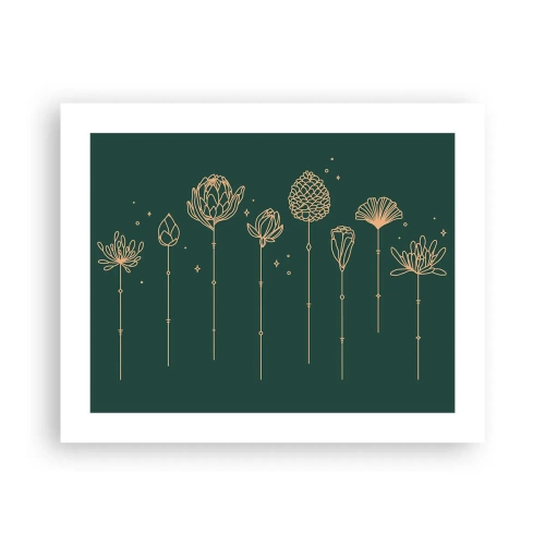 Affiche - Poster - La famille Plante - 50x40 cm