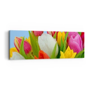 Impression sur toile - Image sur toile - Un arc-en-ciel fleuri en gouttes de rosée - 90x30 cm