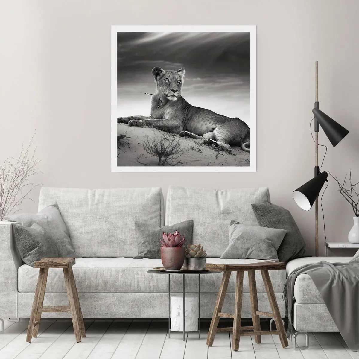 Affiche - Poster - La reine du désert reste - 60x60 cm