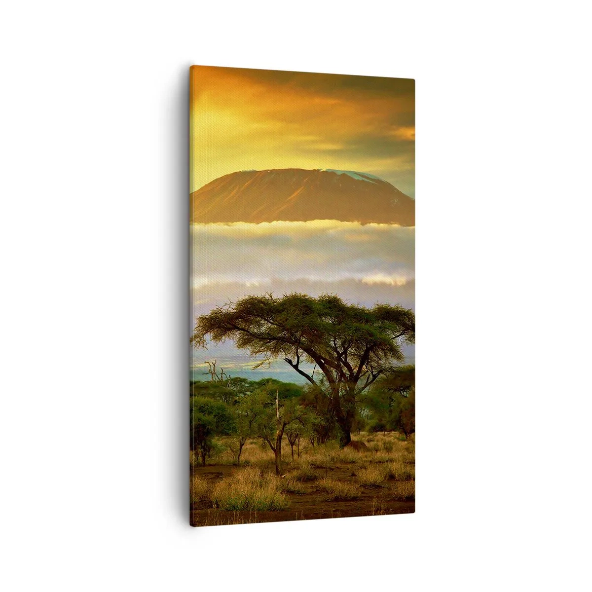 Impression sur toile - Image sur toile - Un rêve de voyageur - 55x100 cm