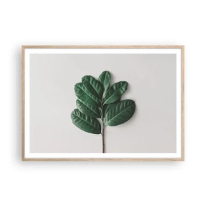 Affiche dans un chêne clair - Poster - Dessin de la nature elle-même - 100x70 cm