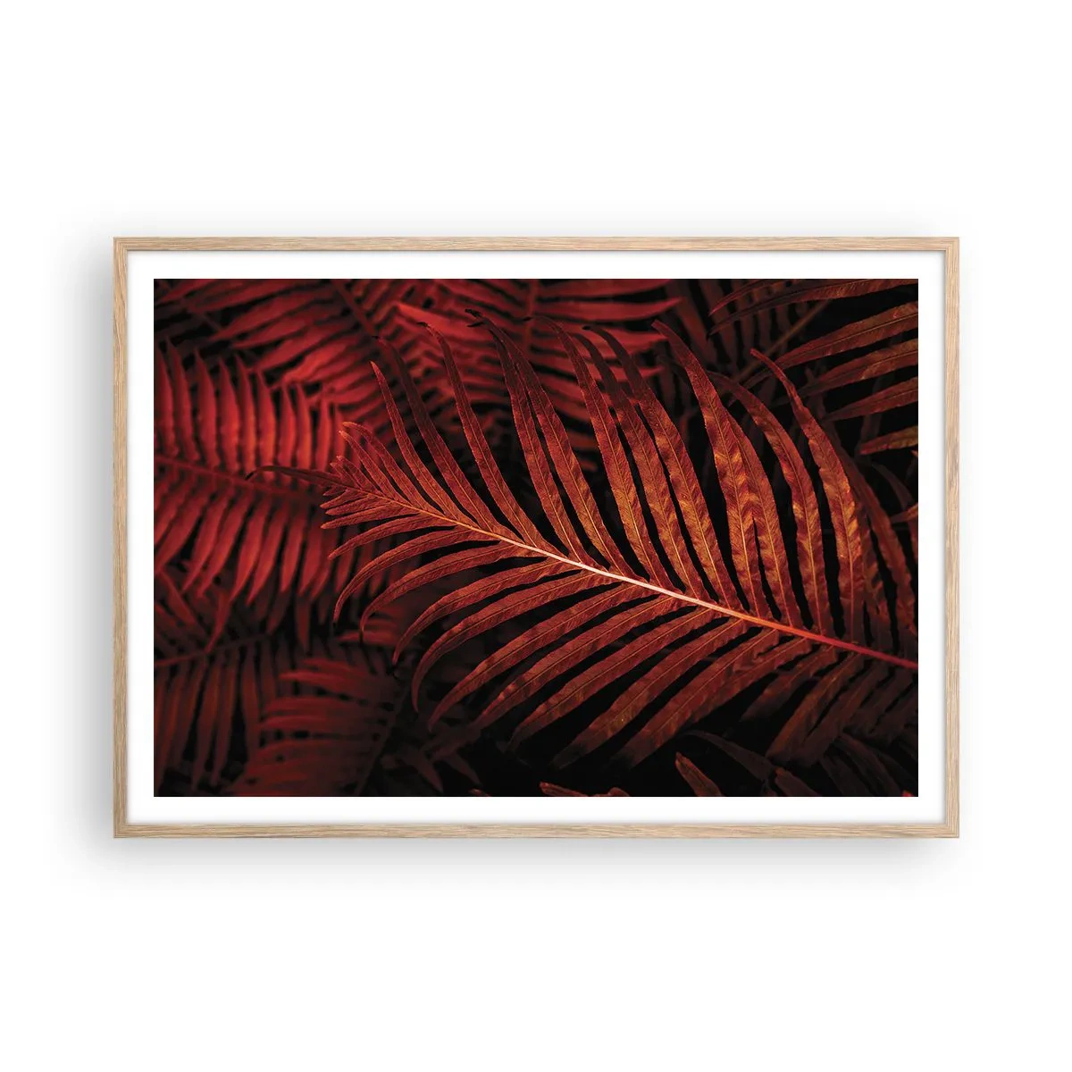 Affiche dans un chêne clair - Poster - Chaleur de la vie - 100x70 cm
