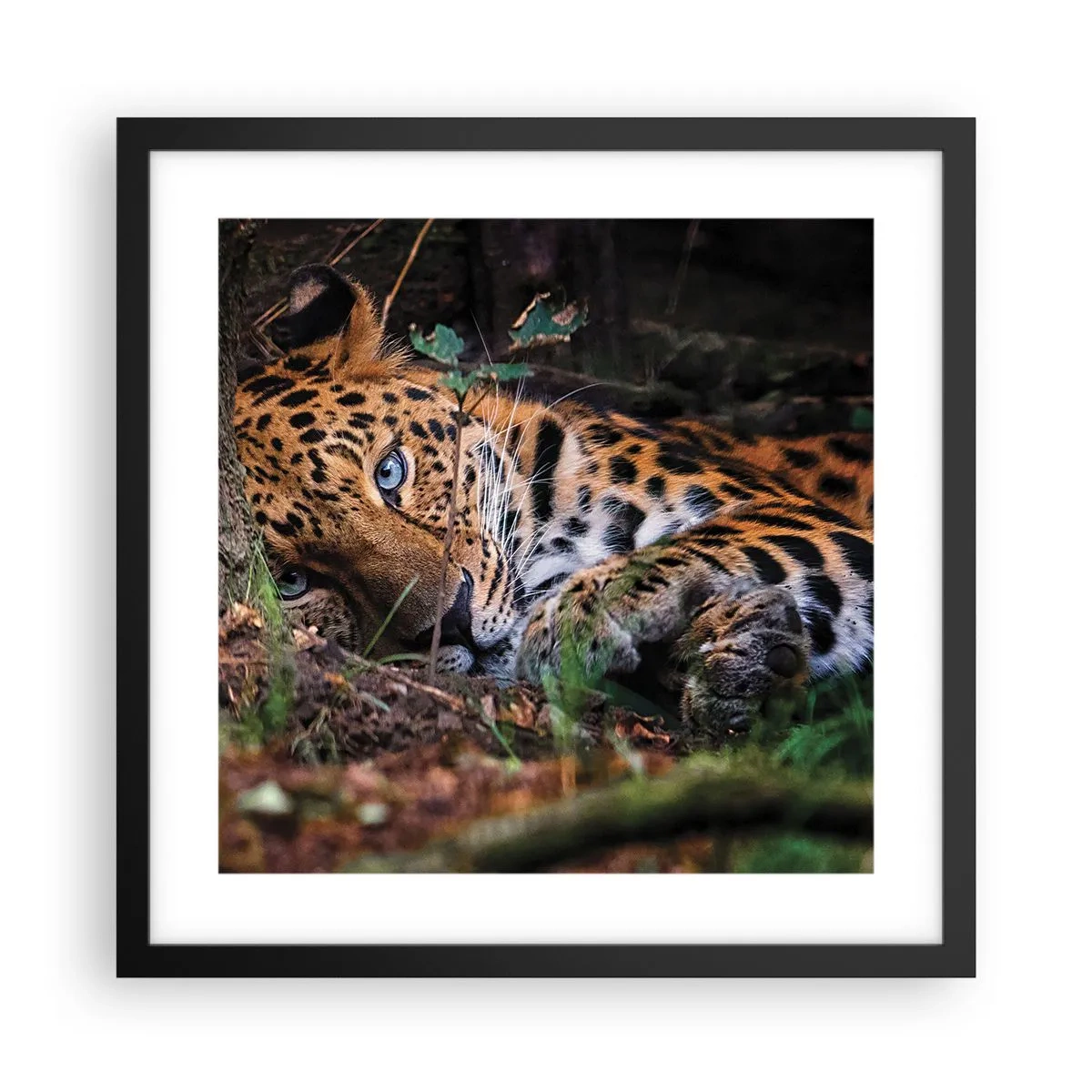 Affiche dans un cadre noir - Poster - Fais-moi confiance - 40x40 cm