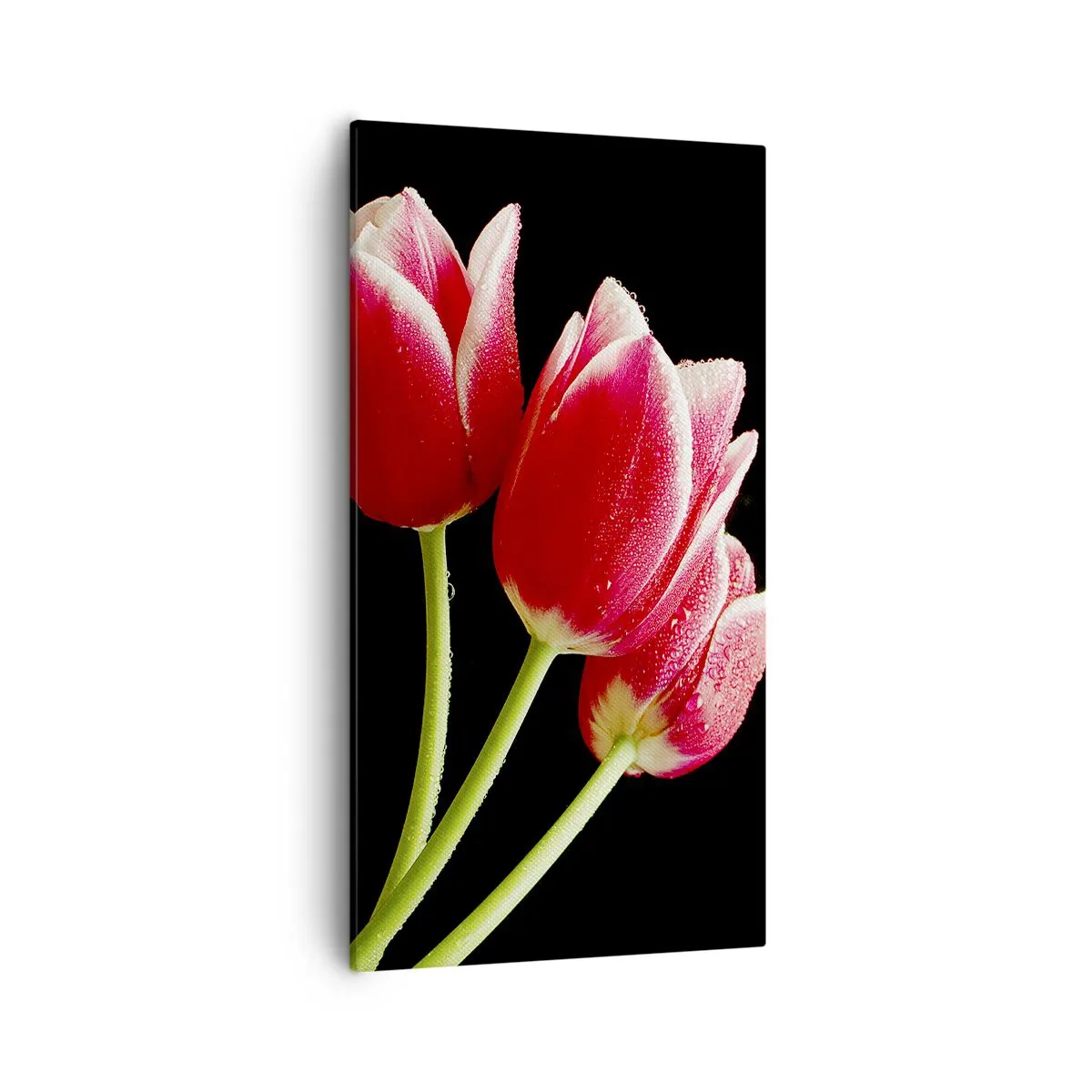 Impression sur toile - Image sur toile - Une promesse d'amour pur - 55x100 cm