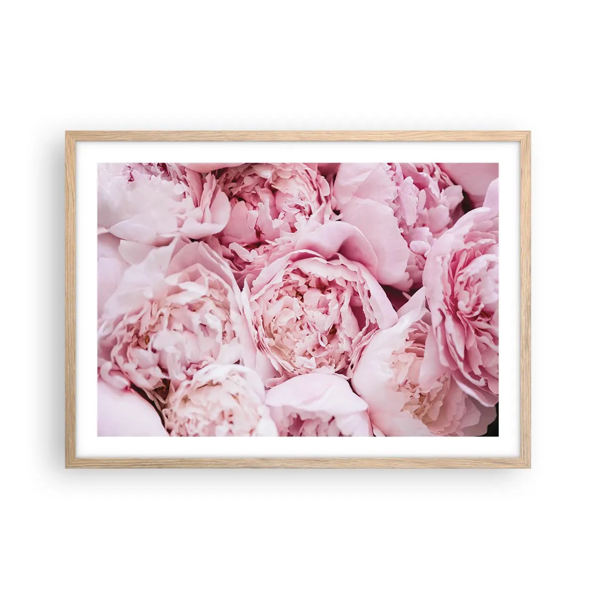 Affiche dans un chêne clair - Poster - Caliné et parfumé - 70x50 cm