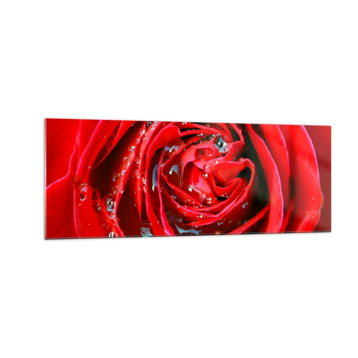 Impression sur verre - Image sur verre - Gros plan d'une rose rouge avec des gouttes d'eau sur les pétales - 140x50cm - Dans les gouttes de rosée - Décoration murale moderne pour le salon et la chambre ARTTOR