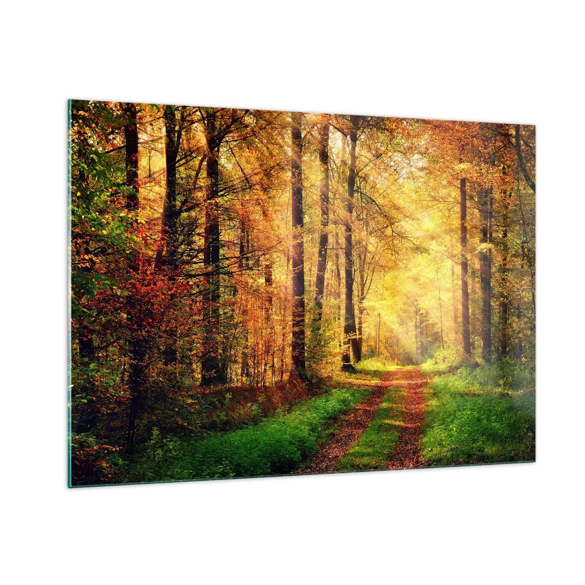 Impression sur verre - Image sur verre - Chemin d'automne dans la forêt avec les rayons du soleil - 100x70cm - Silence d'or en forêt - Décoration murale moderne pour le salon et la chambre ARTTOR