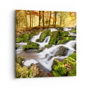 Impression sur toile - Image sur toile - Rapidement à travers la forêt d'automne - 30x30 cm