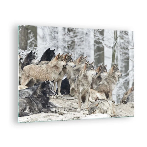Impression sur verre - Image sur verre - Une meute de loups dans la forêt d'hiver - 70x50cm - Famille et amis - Décoration murale moderne pour le salon et la chambre ARTTOR