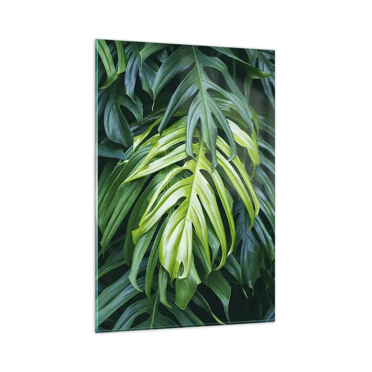Impression sur verre - Image sur verre - Feuilles vertes dans un arrangement tropical dense - 80x120cm - Immergez-vous dans la fraîcheur - Décoration murale moderne pour le salon et la chambre ARTTOR