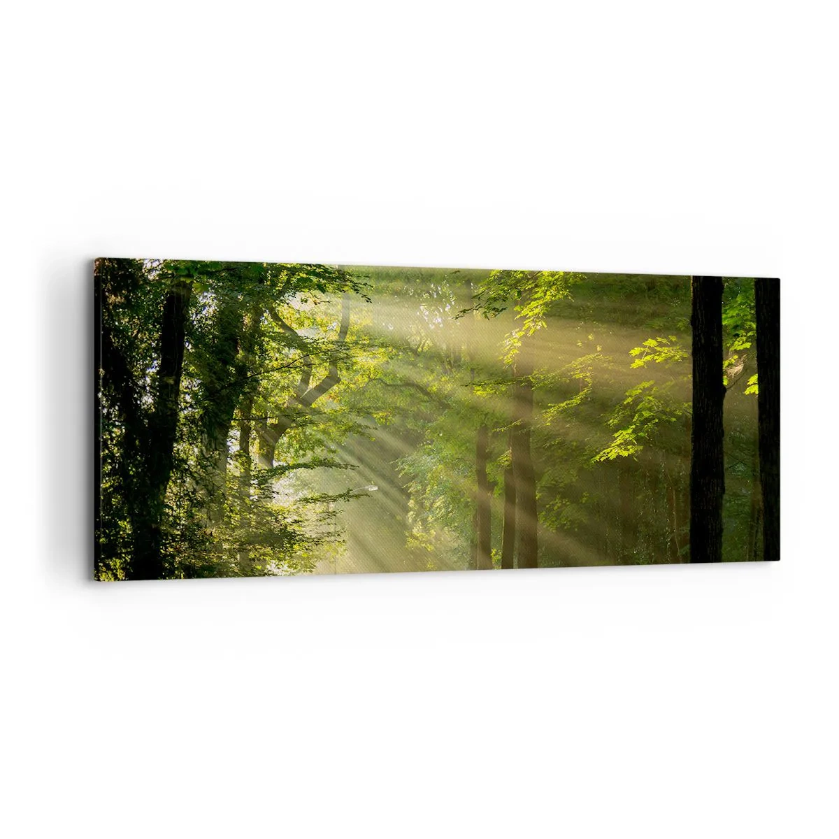 Impression sur toile - Image sur toile - Chemin forestier avec les rayons du soleil qui brillent à travers les arbres - 120x50cm - Moment de forêt - Décoration murale moderne pour le salon et la chambre ARTTOR
