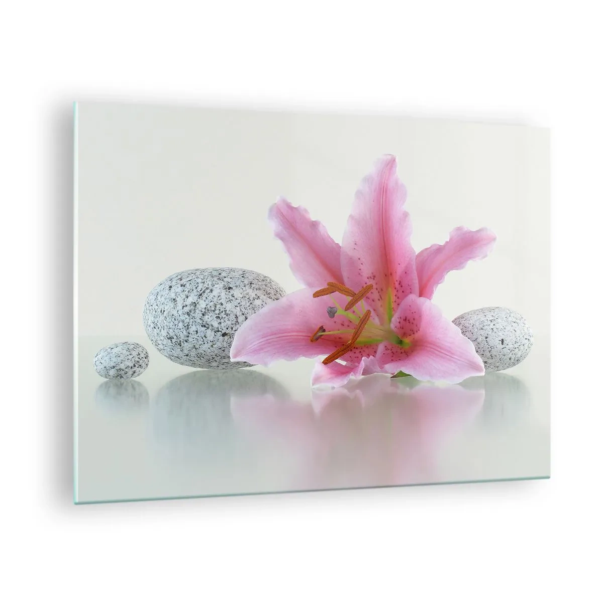 Impression sur verre - Image sur verre - Lys rose sur fond de pierres blanches dans un style spa - 70x50cm - Étude de rose, gris et blanc - Décoration murale moderne pour le salon et la chambre ARTTOR