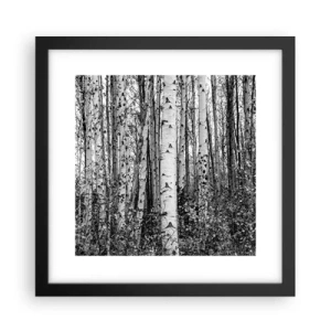 Affiche dans un cadre noir - Poster - Enchevêtrement de bouleau - 30x30 cm