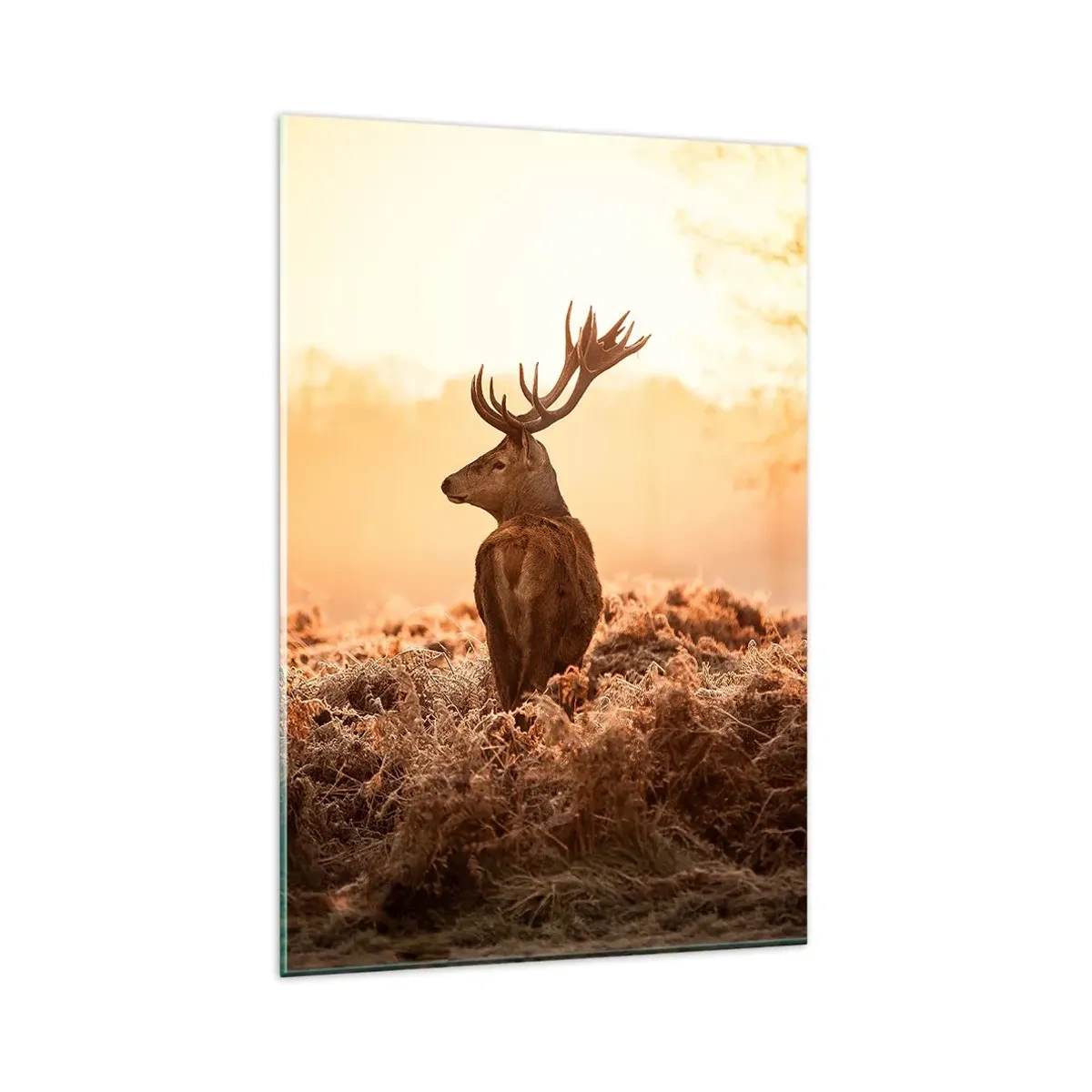 Impression sur verre - Image sur verre - Cerf dans les rayons du soleil levant - 80x120cm - Seigneur du domaine - Décoration murale moderne pour le salon et la chambre ARTTOR