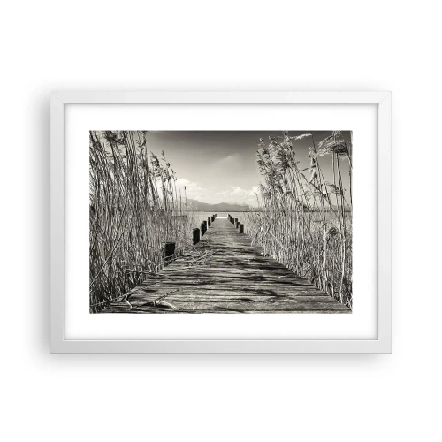 Affiche dans un cadre blanc - Poster - Dans le calme de l'herbe - 40x30 cm