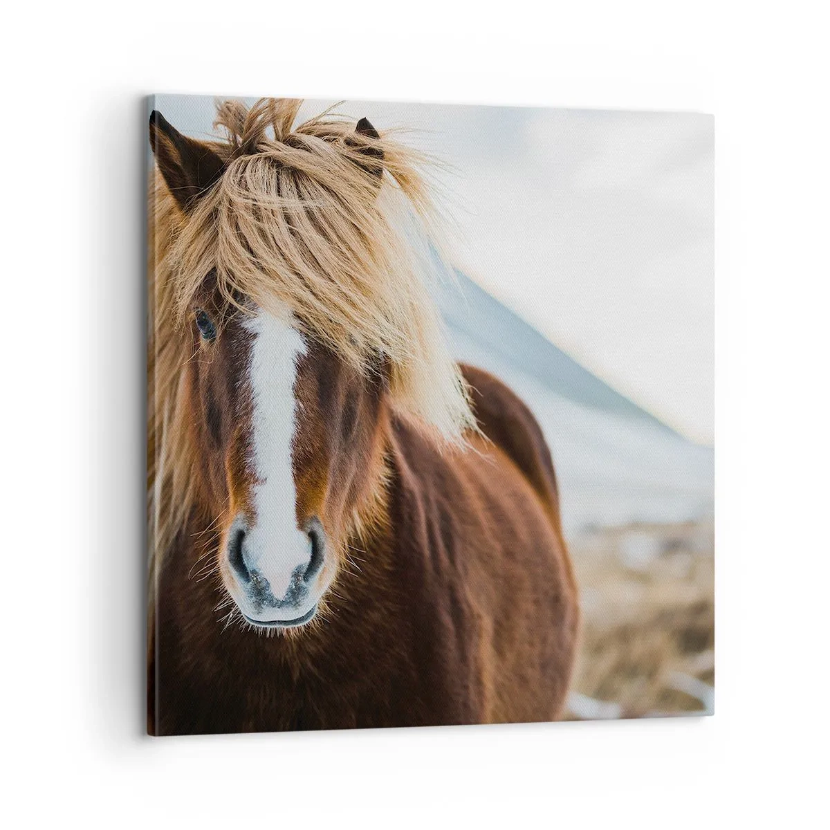 Impression sur toile - Image sur toile - Sentez-vous la liberté ? - 60x60 cm