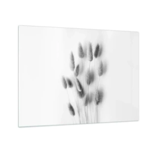 Impression sur verre - Image sur verre - Épis d'herbe noirs et blancs sur fond clair dans un style minimaliste - 70x50cm - Son herbe duveteuse - Décoration murale moderne pour le salon et la chambre ARTTOR