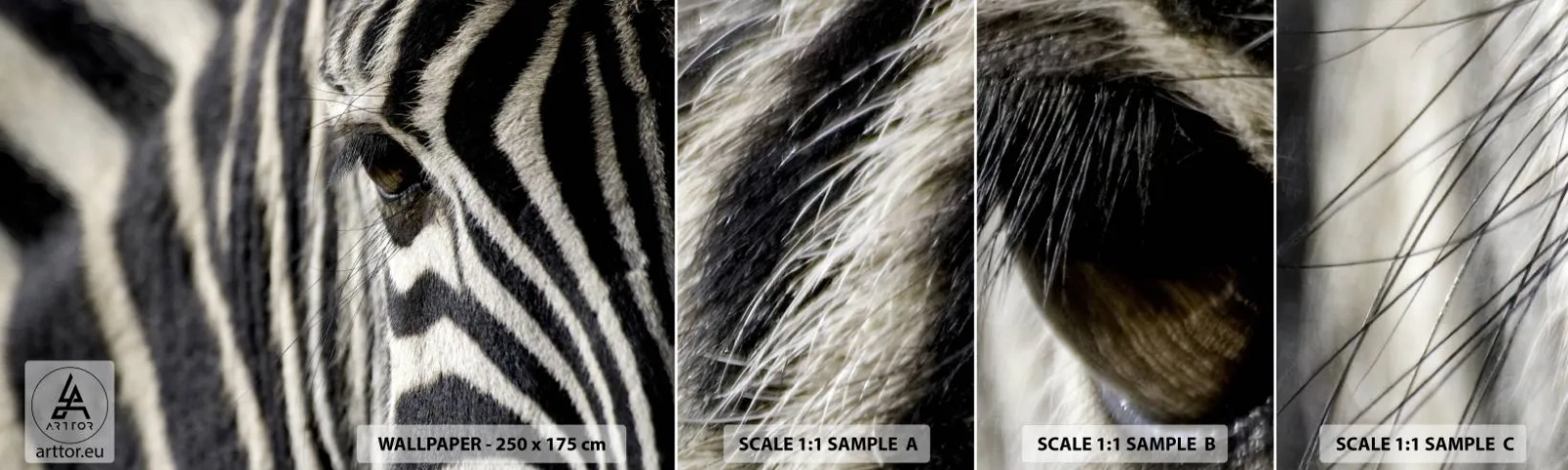 Échantillon De Papier Peint Standard Eco - Portrait en rayure - Animaux, Côtes, Afrique - 100x30 cm